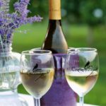 Crow Vineyard and winery