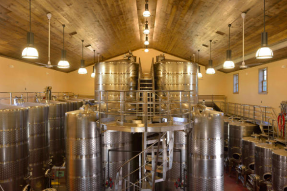 Maryland Wine In Pursuit of Excellence