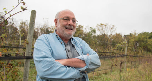 A harvest of vintage grapes from a hillside in Carroll County -Baltimore Sun