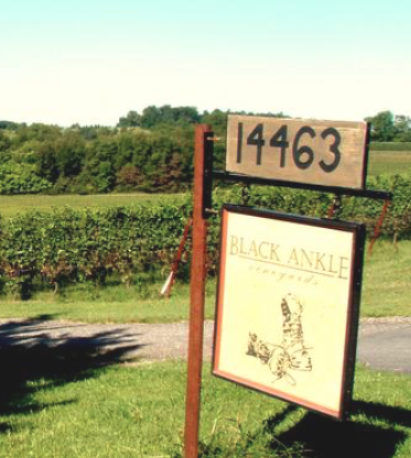 “With two new farms, Mount Airy’s Black Ankle Vineyards prepares for big expansion” – Baltimore Business Journal