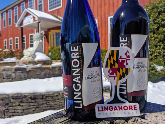 “Linganore, one of East Coast’s oldest wineries, making generational shift” – Penn Live