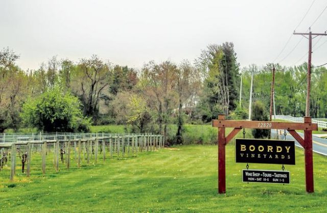 Fun Fact: The Oldest Winery in Maryland