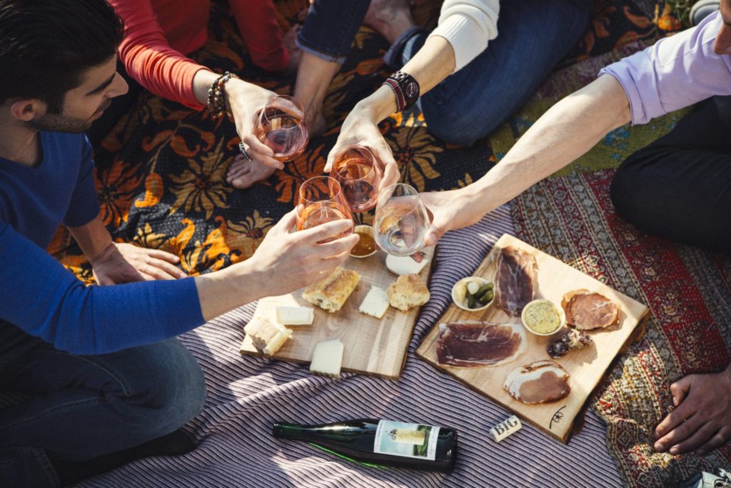 People toasting with wine glasses on picnic blanket