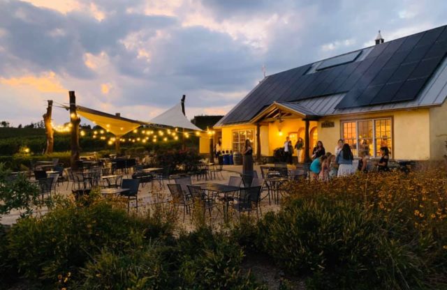 “The Wines to Buy This Thanksgiving: A Guide to America’s Up-and-Coming Regions” – The Wall Street Journal
