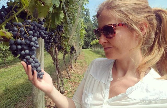 “Award-Winning Winery Thrives Under Winemaker’s Enthusiasm” – Lancaster Farming