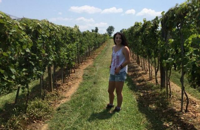“Many Generations of Pyment and Cysers at Loew Vineyards” – Lancaster Farming