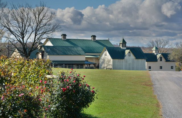 “Boordy Vineyards’ founder remembered for his wine, nursery and significance to the industry” – PennLive