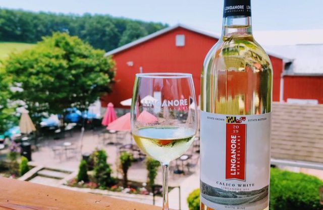 “What is Wanderland? The new Maryland wine event gets rolled out next weekend.” – PennLive.com