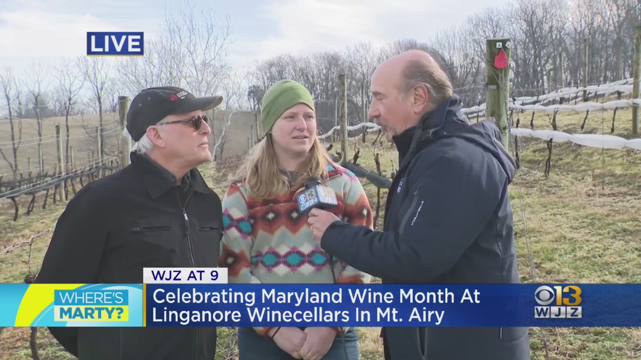 “Where’s Marty? Celebrating Maryland Wine Month At Linganore Winecellars” – WJZ