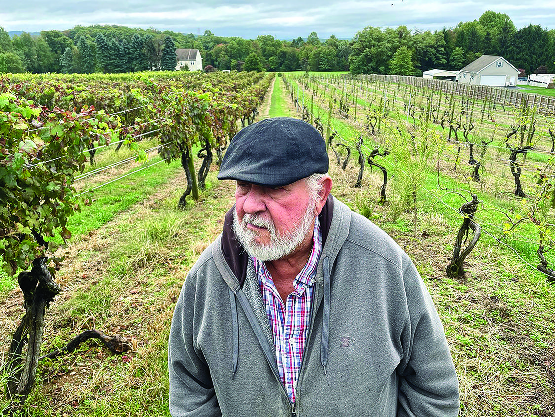 “Grape producers battling relentless attack from spotted lanternflies” – The Delmarva Farmer